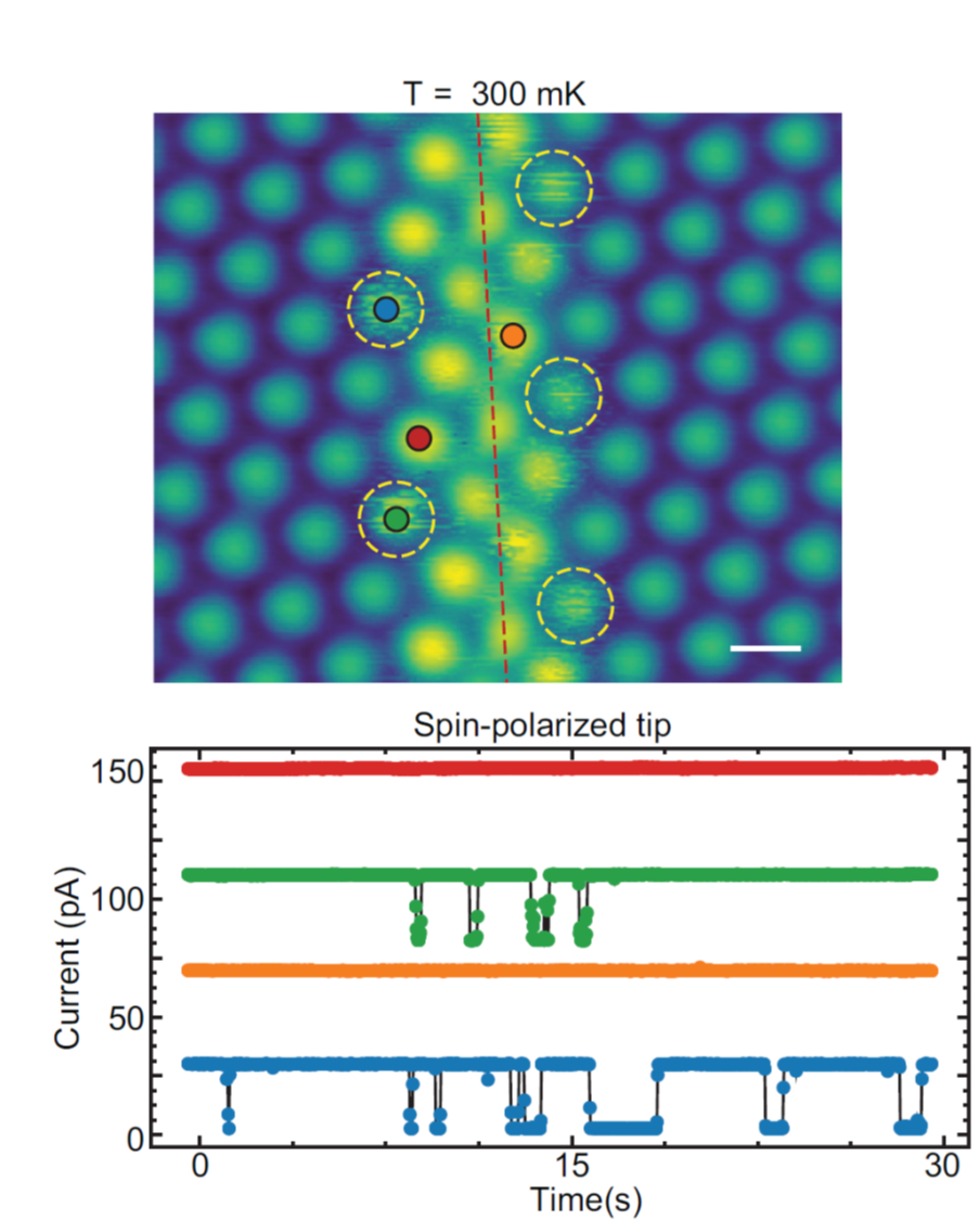 <center>Long Spin Lifetimes in TaS2</center>